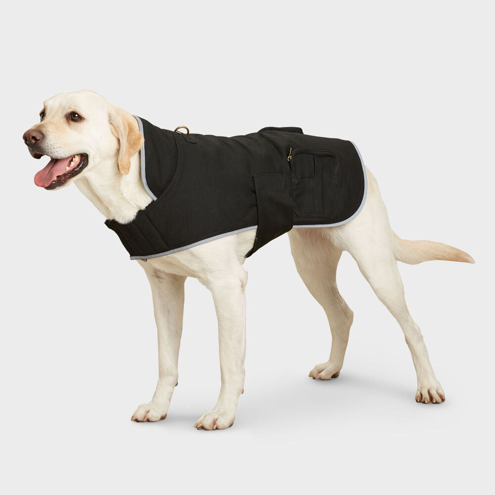 Fire Hose Dog Jacket
